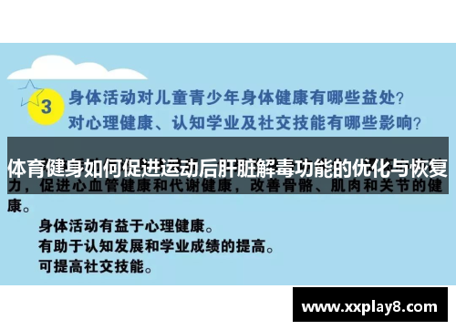 体育健身如何促进运动后肝脏解毒功能的优化与恢复